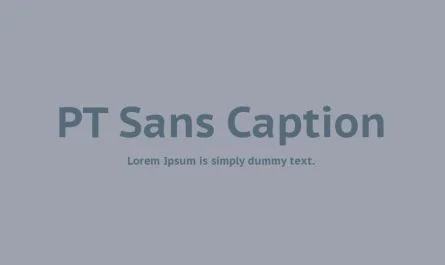 PT Sans Caption Font Family Free Download