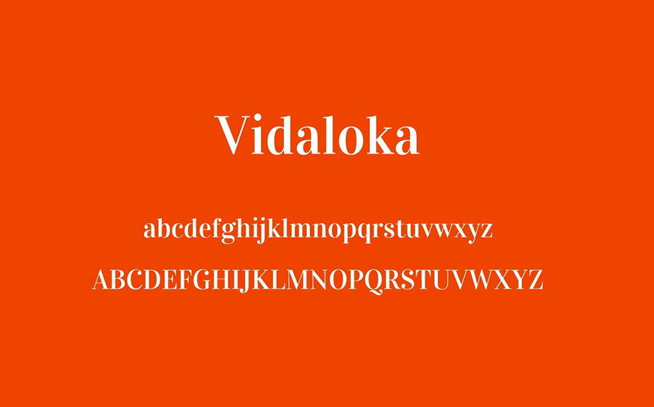 Vidaloka Font Family Download