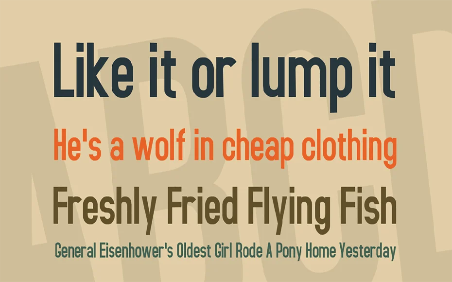 Accidental Presidency Font Family Download