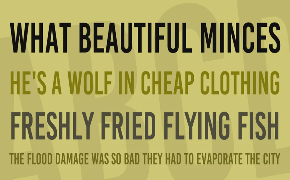 Bebas Kai Font Family Download