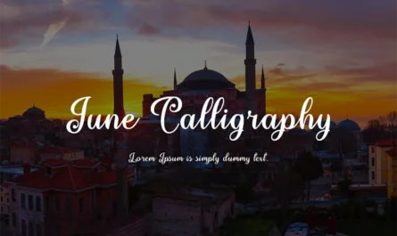June Calligraphy Font Family Free Download