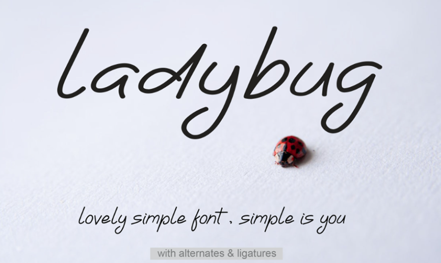 Ladybug Font Family Free Download