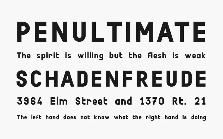 Boisu Font Free Download