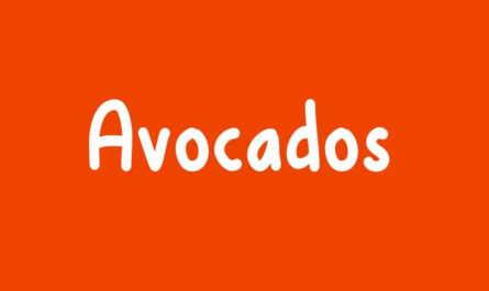Avocados Font Family Free Download