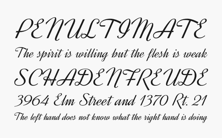 Dynalight Font Family Download