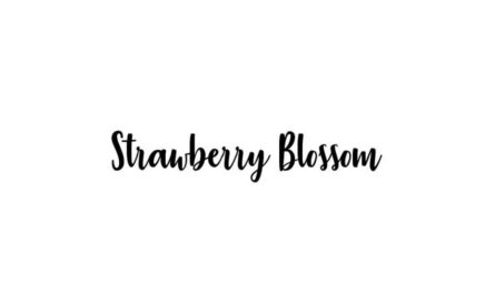Strawberry Blossom Font Family Free Download