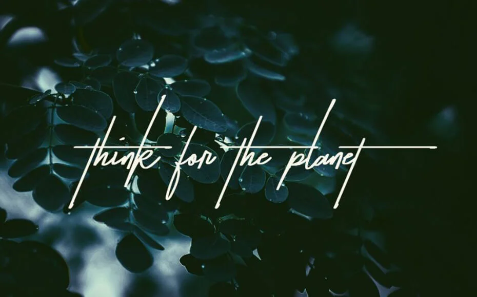 Taken By Vultures Font Family Download