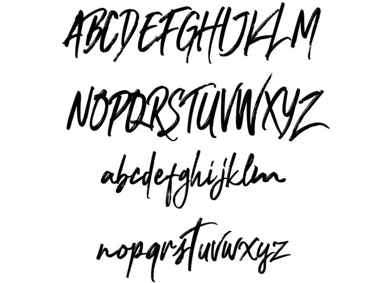 Nocturnal Font Family Download