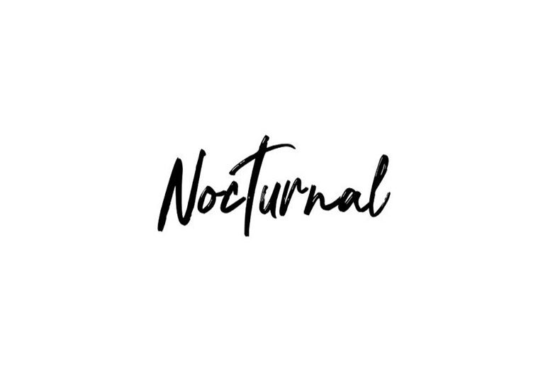 Nocturnal Font Free Download