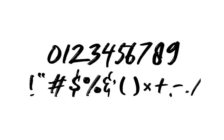 Nocturnal Font Free Download